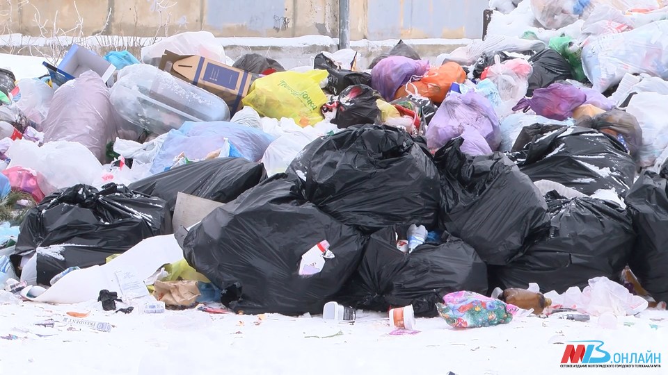 Регоператора по вывозу мусора в Волгограде оштрафовали на 125 тысяч рублей